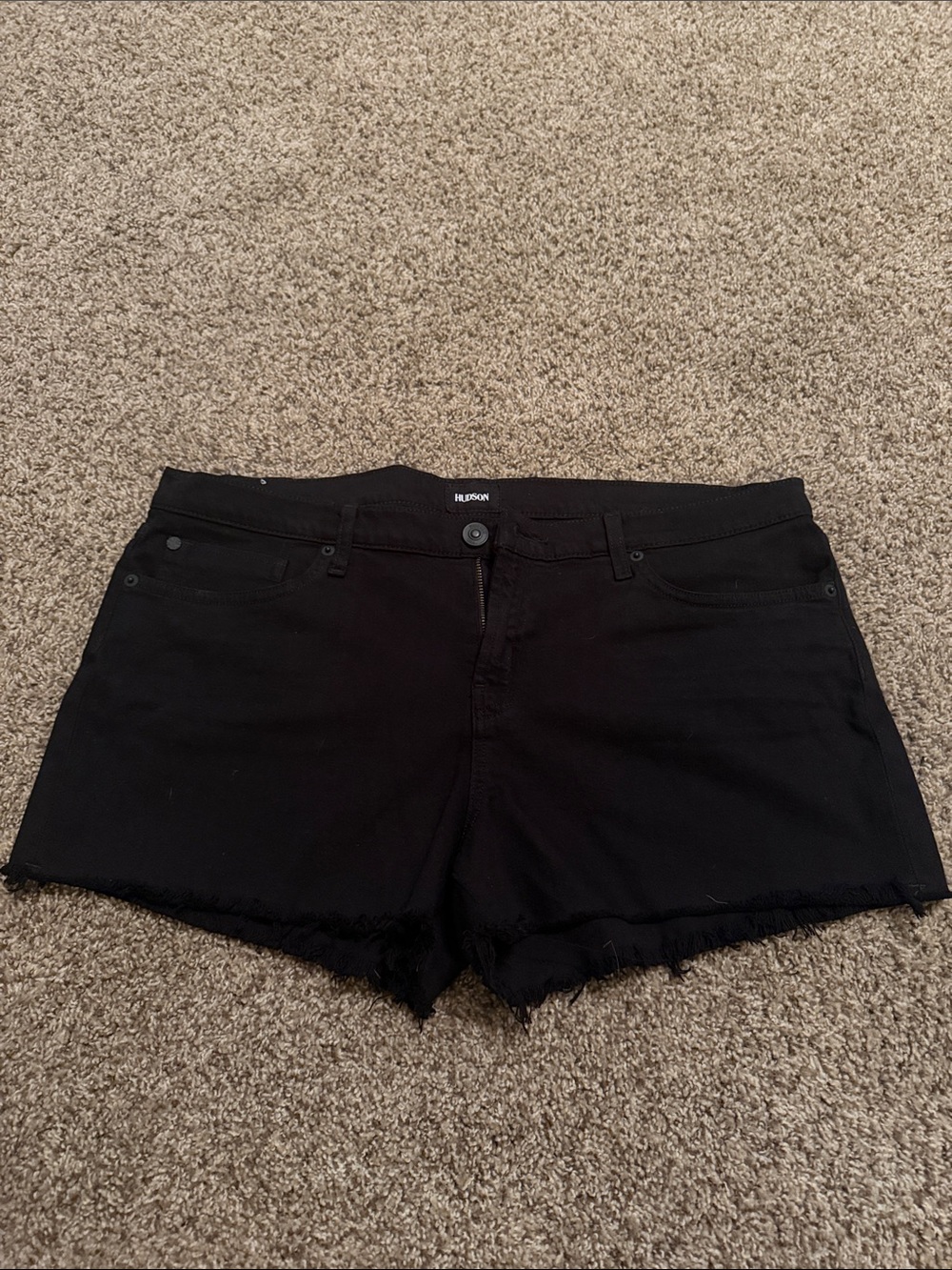 Hudson Shorts